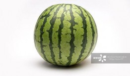 热门大瓜,热门大瓜背后的惊人真相